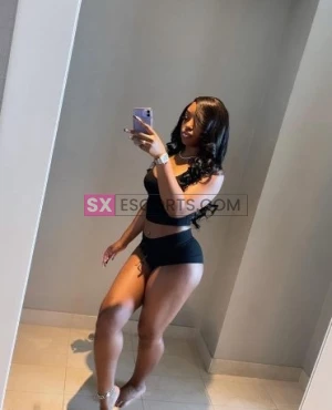 Sugar #4